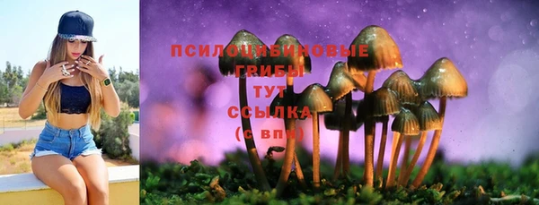 трава Аркадак