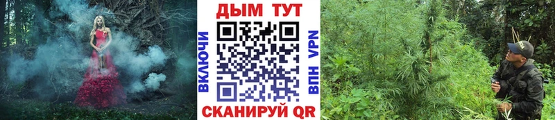 Каннабис планчик  Краснослободск 